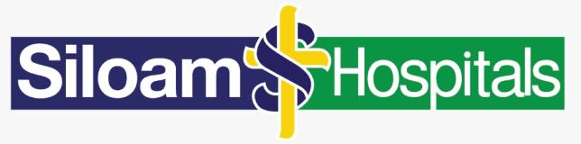 Sponsor 1